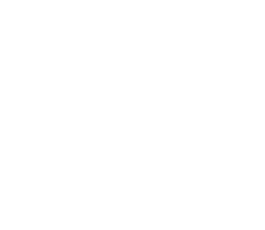 Shuffle King 2 Original 